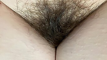 Hd Video Of My Hairy Pussy With Extreme Close Up