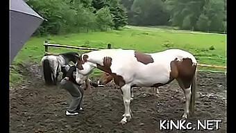 Dominująca Pani Biczuje I Pięści Swojego Uległego Niewolnika W Hardkorowej Sesji.