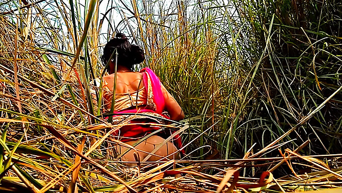 Aventura Sexual Al Aire Libre De Una Pareja India Amateur En La Jungla